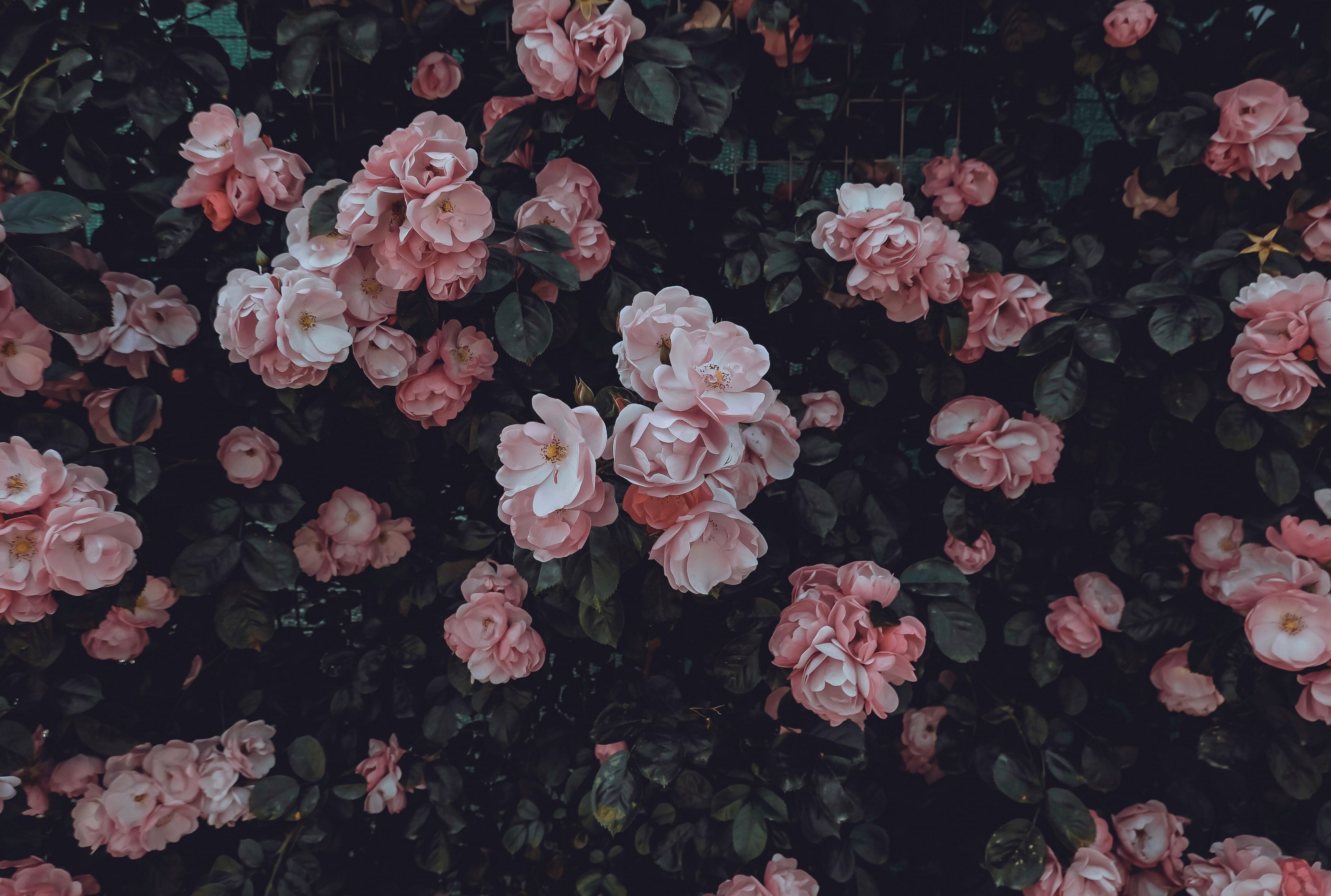 Crowdfunding Rescue Manual -PART 1/2