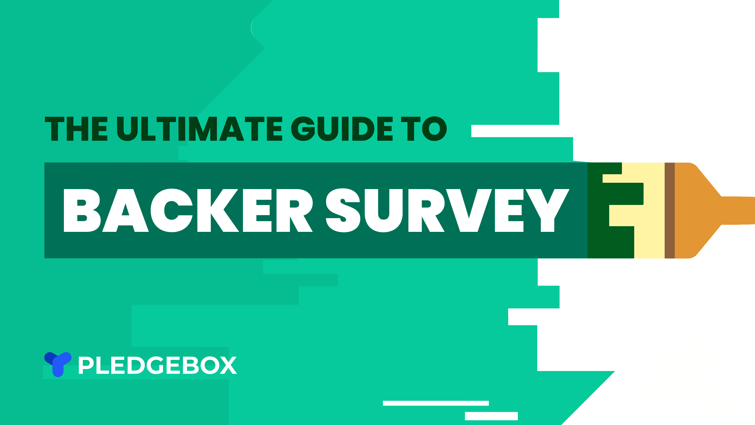 The Ultimate Guide to Backer Survey
